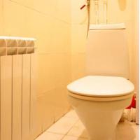 Hotel photos Saint Petersburg Soft Apartment