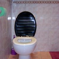 Фотографии отеля Mini-hotel Palitra