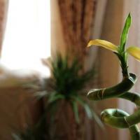 Фотографии отеля RADA Female Hostel