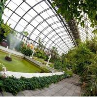 Фотографии отеля Мини отель Петропавловский