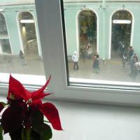 Hotel photos Hostel Bliss