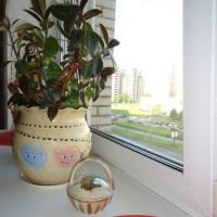 Фотографии отеля Apartamenti na Komendantskom