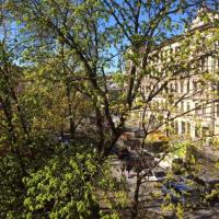 Hotel photos Apple-Paradise Apartments