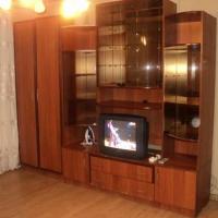 Hotel photos Apartment Ladozhskaya