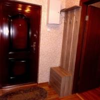 Hotel photos Apartment Nevsky
