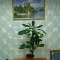 Hotel photos Alpiysky Hostel