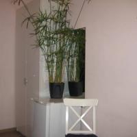 Hotel photos Guest House in Karetnogo