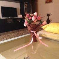 Фотографии отеля Leo Apartments on Nekrasova