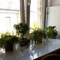 Фотографии отеля Backstage Hostel