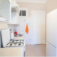 Hotel photos Apartment on Malookhtinsky Prospekt