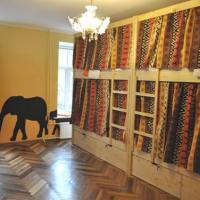 Фотографии отеля Suricata Hostel
