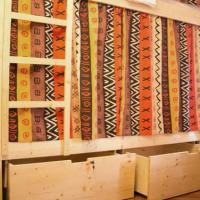 Фотографии отеля Suricata Hostel