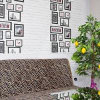 Hotel photos Hostel Fonar