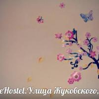 Hotel photos Like Hostel on Zhukovskogo