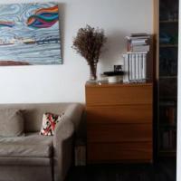 Hotel photos Apartment Novosmolenskaya 4