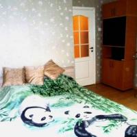 Фотографии отеля Hostel Zvezdnaya