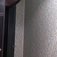 Фотографии отеля Hostel Zhuravlik