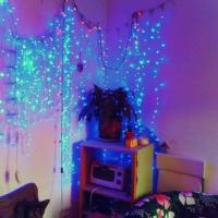 Фотографии отеля PLUK hostel