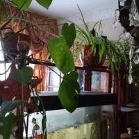 Фотографии отеля Apartment Intourion