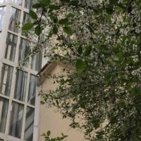 Hotel photos Apartment Gorokhovaya 4