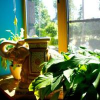Hotel photos Yoga Apartment Green Tara