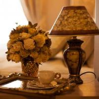 Фотографии отеля Silver Sphere Inn