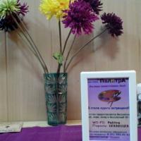 Фотографии отеля Mini-hotel Palitra