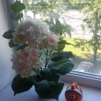 Фотографии отеля Apartment on Prospekt Nauki