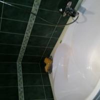 Hotel photos Studio Rybatskiy prospekt 17k1