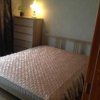 Hotel photos Apartment u Lesnoy