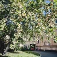 Фотографии отеля Sotsialisticheskaya 7