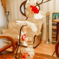 Фотографии отеля Luxury Apartment Zhukovskogo 47