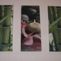 Фотографии отеля Guest House in Karetnogo