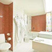 Фотографии отеля Парк Инн Пулковская