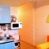 Фотографии отеля Apartment Svetlana