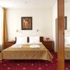 Hotel photos Nevsky Hotel Aster