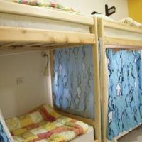 Фотографии отеля Red House Hostel