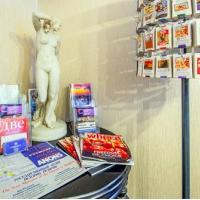 Hotel photos Nevsky Hotel Aster
