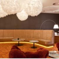 Hotel photos Crowne Plaza St.Petersburg Airport