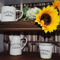 Фотографии отеля Giggly Hostel