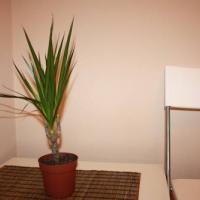 Hotel photos мини-гостиница "4 стороны Света"