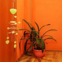 Фотографии отеля Lucky Hostel