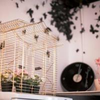 Фотографии отеля Taiga Hostel