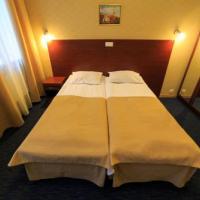 Hotel photos Nevsky Hotel Aster