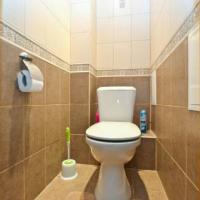 Фотографии отеля Apartment Pulkovskaya
