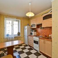 Фотографии отеля Apartment Pulkovskaya