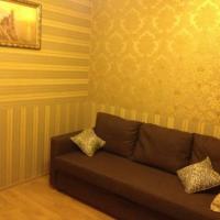 Hotel photos Apartment u Lesnoy