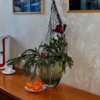 Hotel photos Guest House Assol