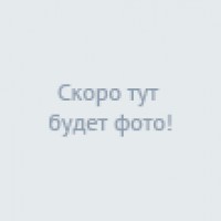 Фотографии отеля Русь