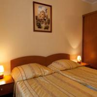 Hotel photos Amadeo Hotel